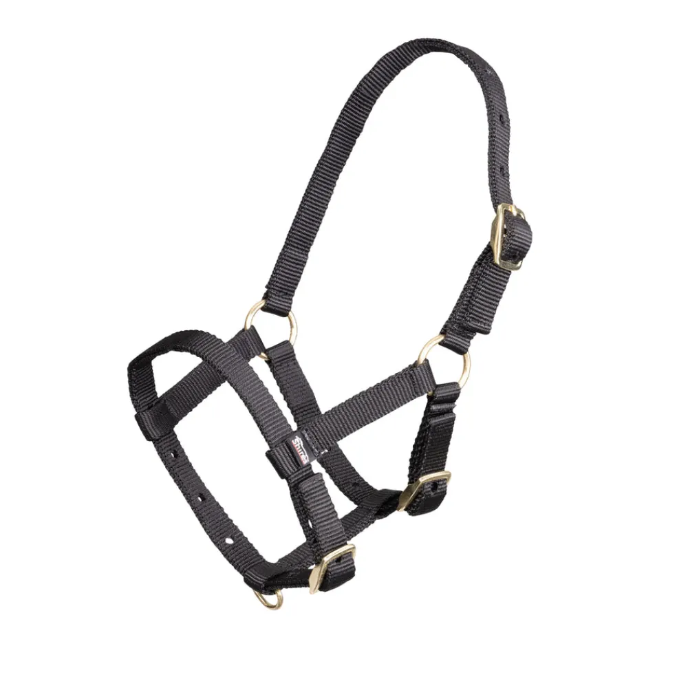 ARMA Foal Headcollar^Shires Equestrian Clearance