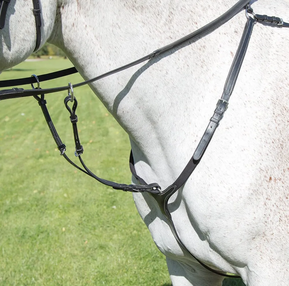 Avignon Breastplate^Shires Equestrian Discount