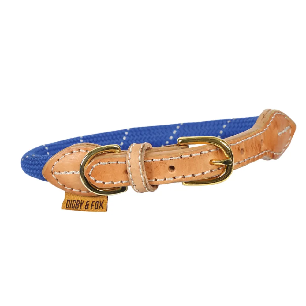Digby & Fox Reflective Dog Collar^Shires Equestrian Online