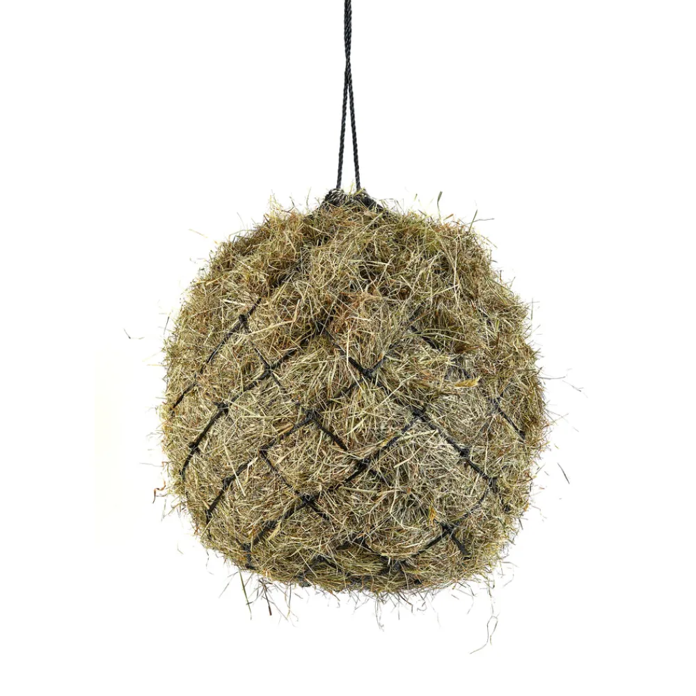 Haynet^Shires Equestrian New