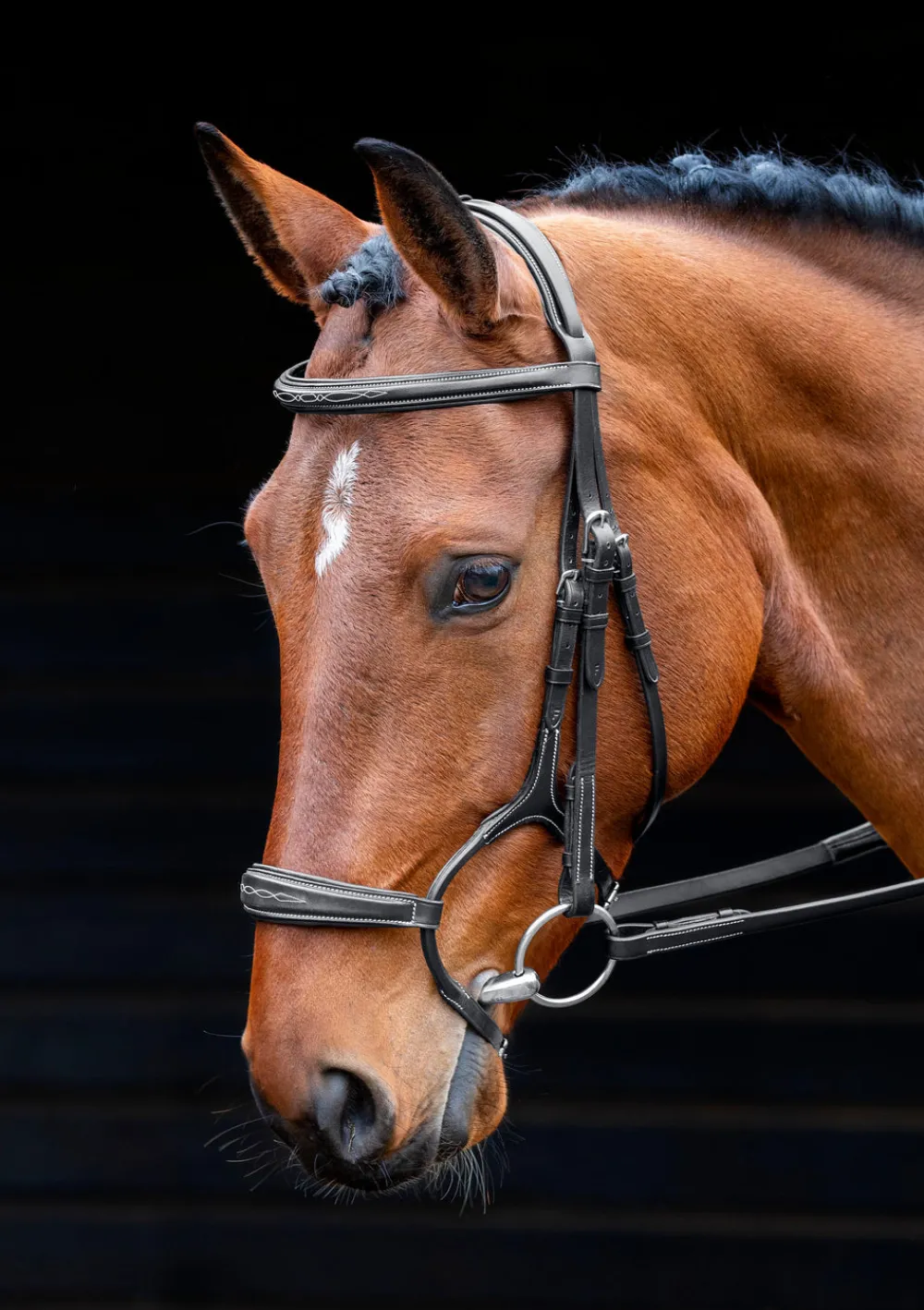 Salisbury Brampton Bridle^Shires Equestrian Best