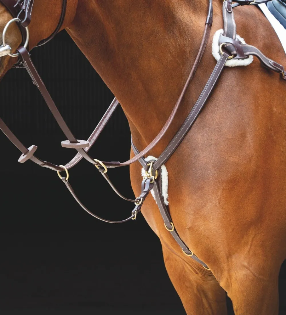 Salisbury Five Point Breastplate^Shires Equestrian Best
