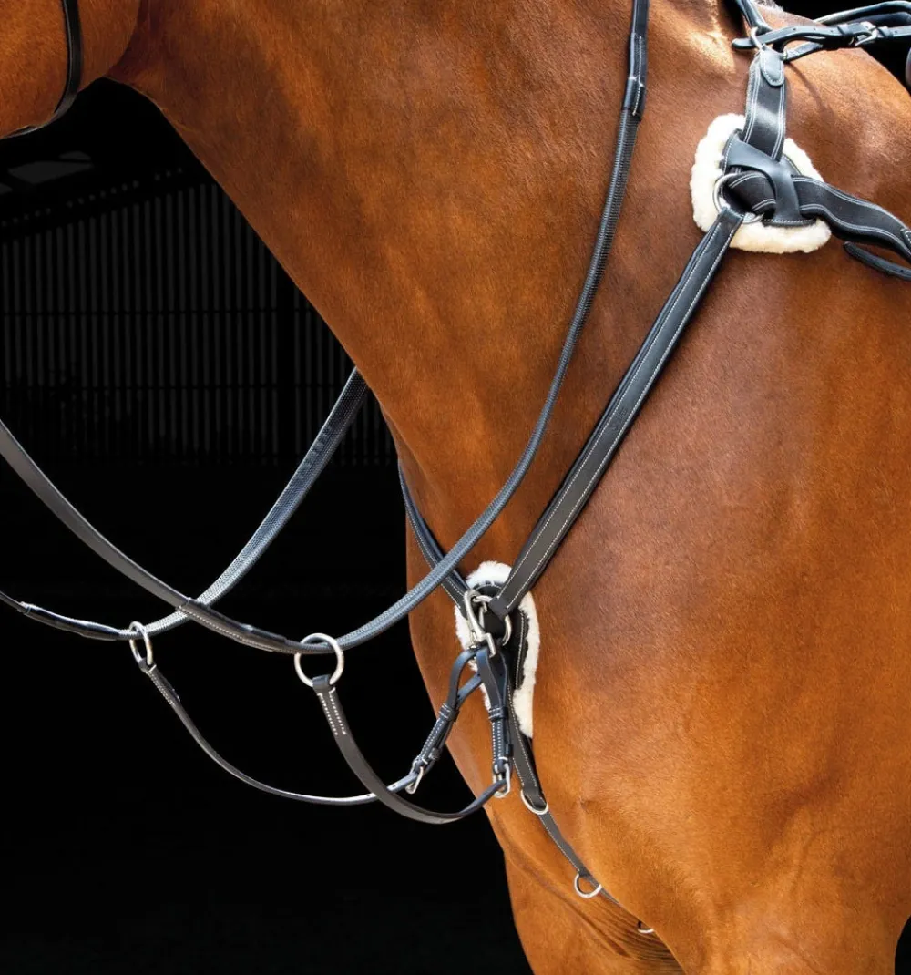 Salisbury Five Point Breastplate^Shires Equestrian Best