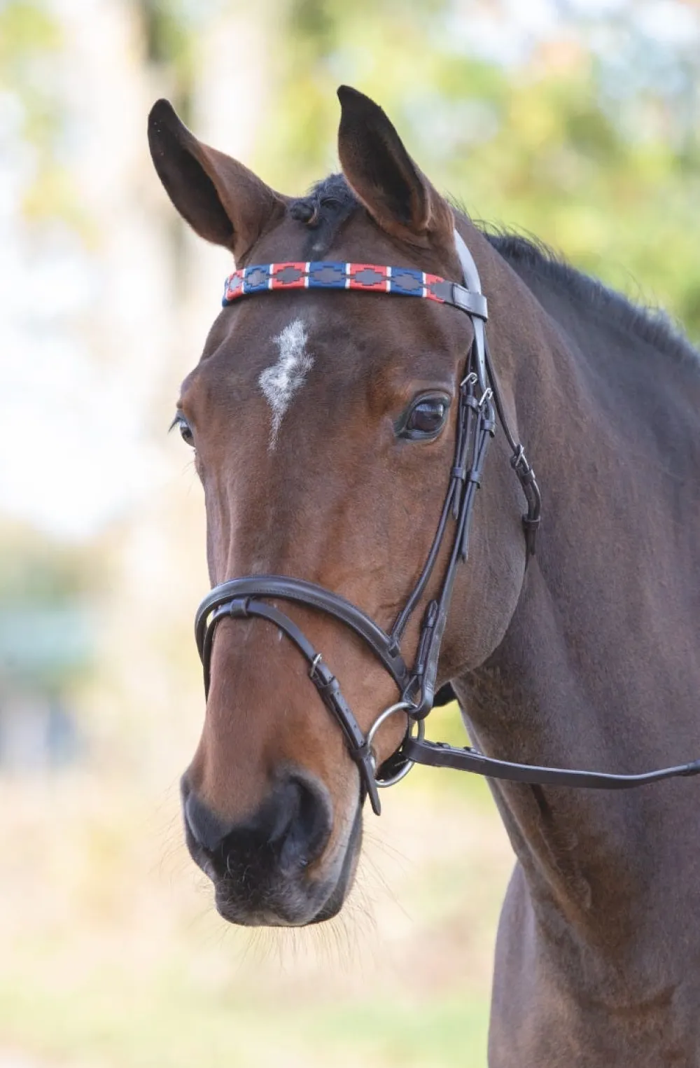 Velociti GARA Leather Polo Browband^Shires Equestrian Clearance