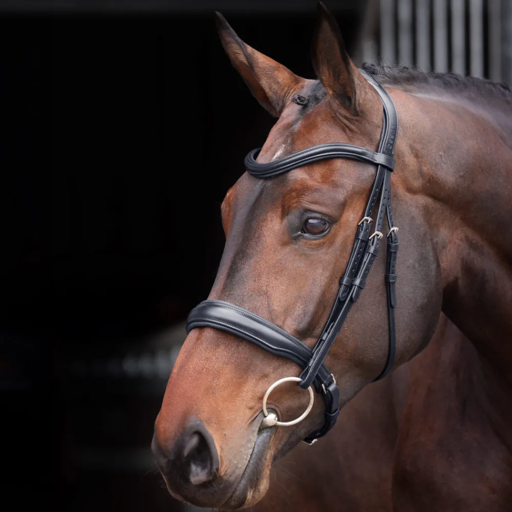 Velociti Lusso Elite Padded Cavesson Bridle^Shires Equestrian Hot
