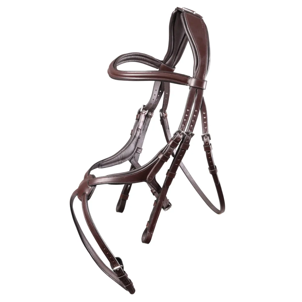 Velociti Lusso Grackle Bridle^Shires Equestrian Discount