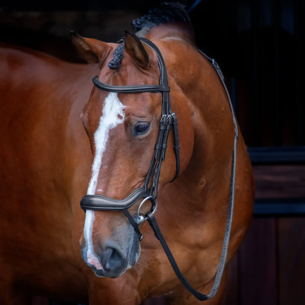 Velociti RAPIDA Ergonomic Flash Bridle^Shires Equestrian New