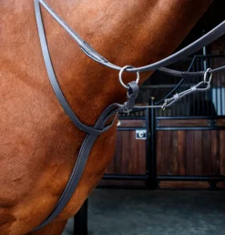 Velociti RAPIDA Running Martingale^Shires Equestrian Hot